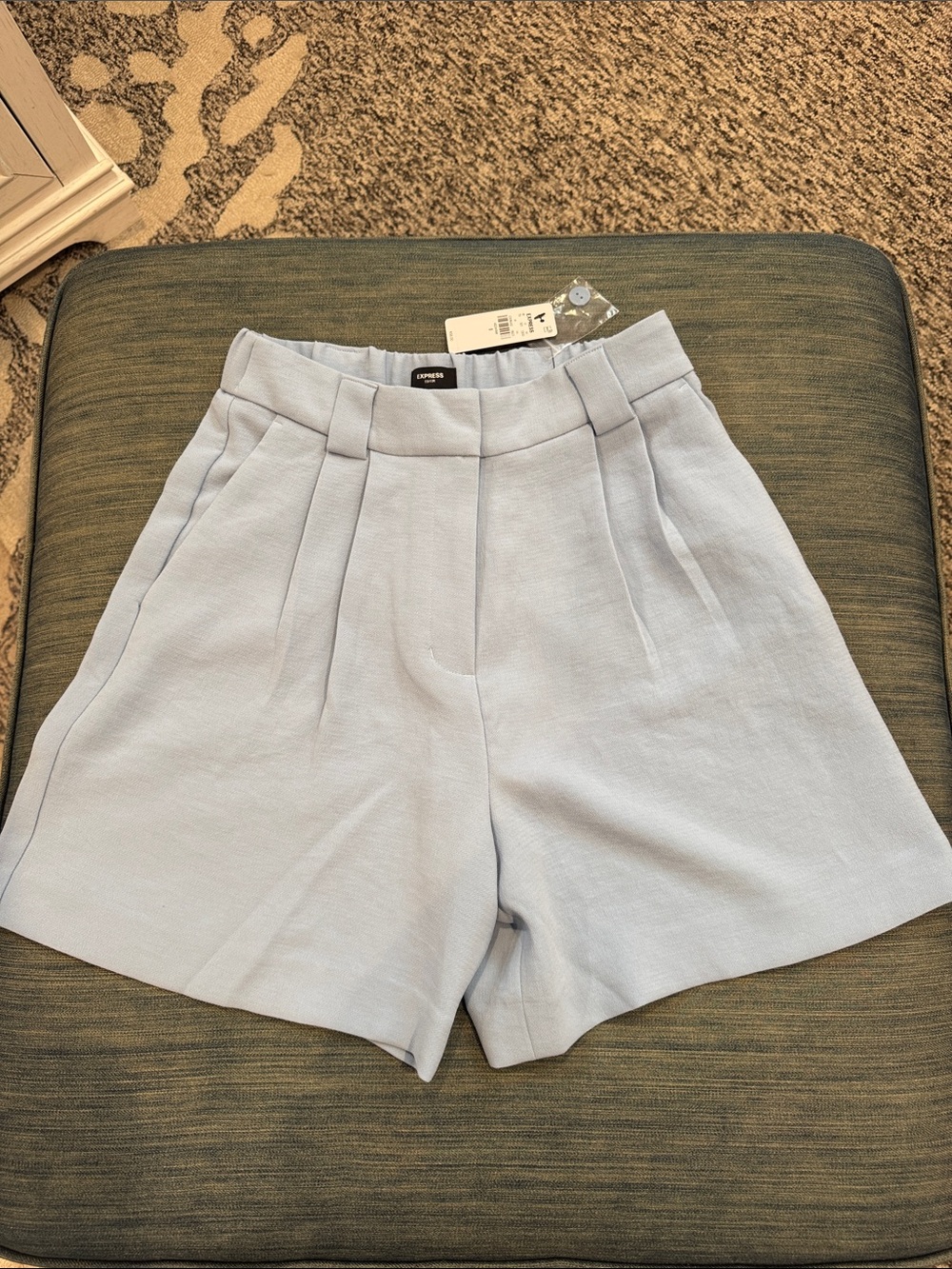 Express Light Blue Women's Tailored Pleat Front Shorts
